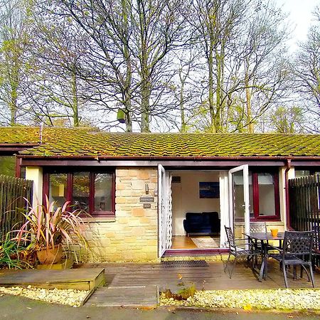 Villa Woodland View - Families & Pets Uny Lelant Exterior foto