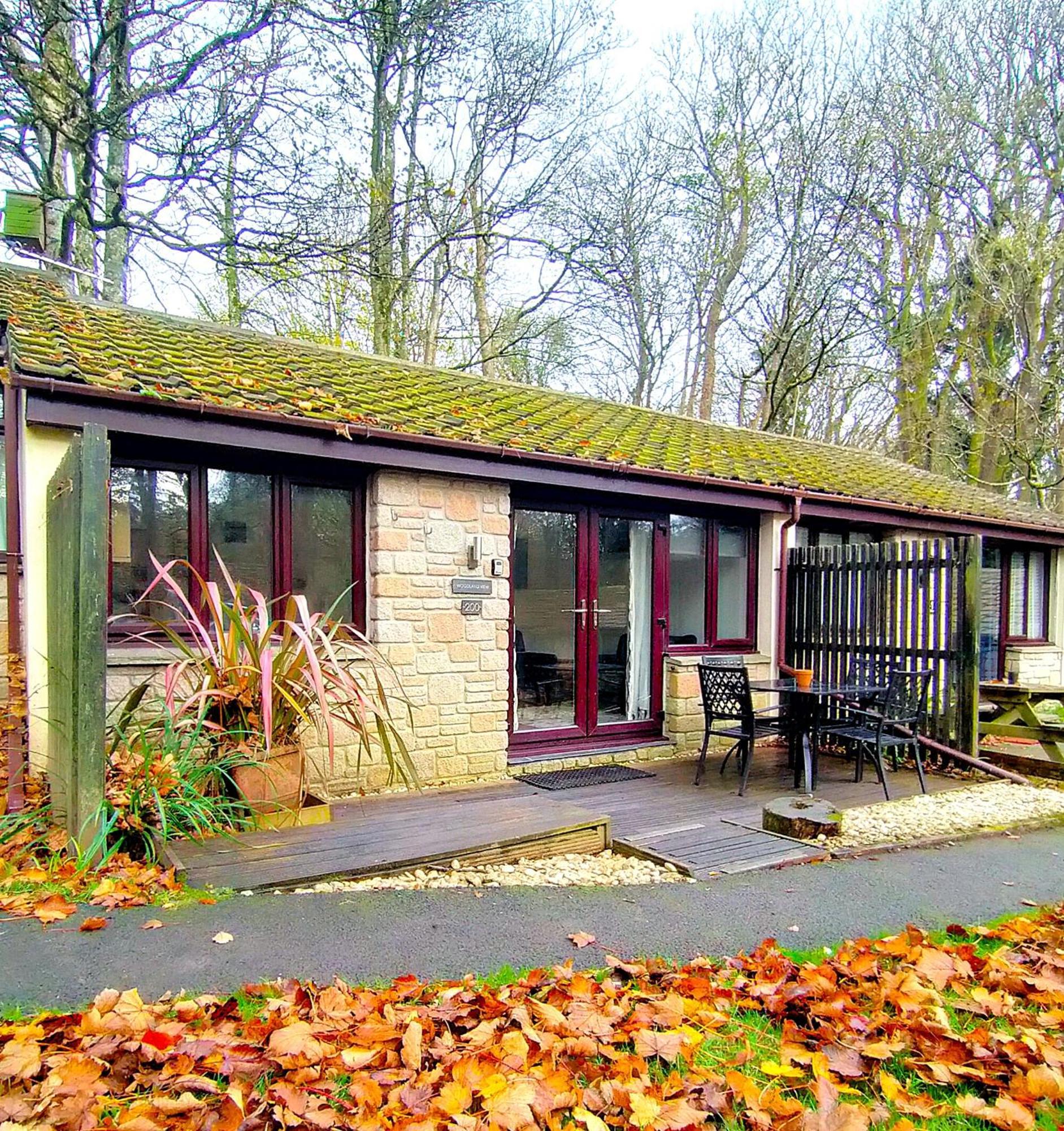 Villa Woodland View - Families & Pets Uny Lelant Exterior foto